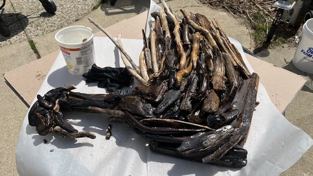 driftwood art