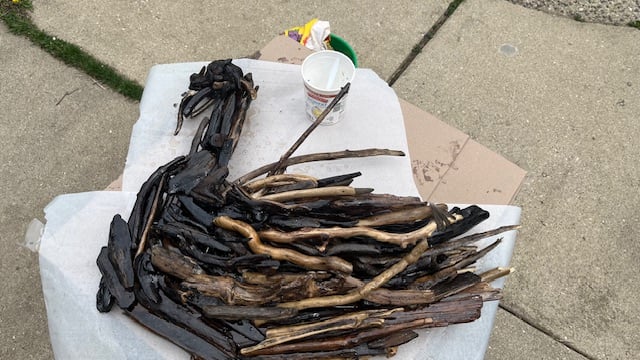 driftwood art