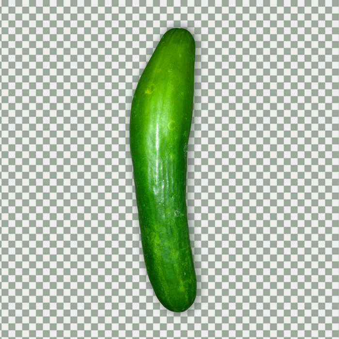 Free Photo PNG Of Indian Green Cucumber Fruit Vegetable