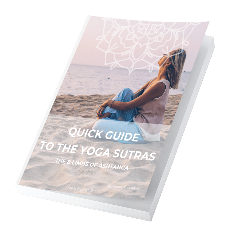 Book cover The quick guide to the yoga sutras