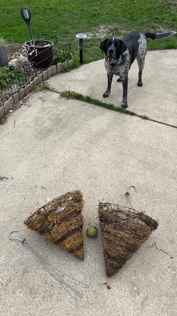 hanging basket rebuild