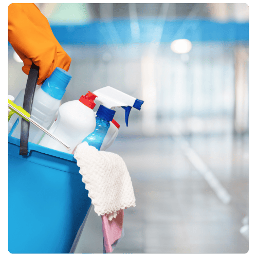 Home Cleaning