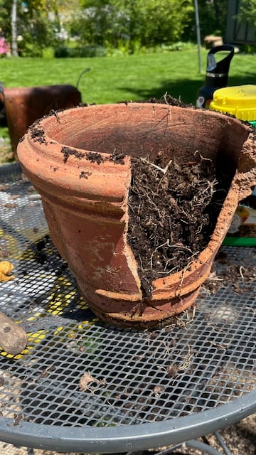 gardening, planting