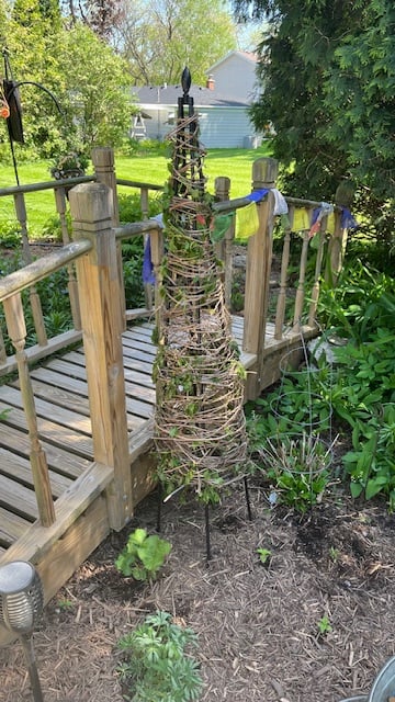 diy climbing plant trellis