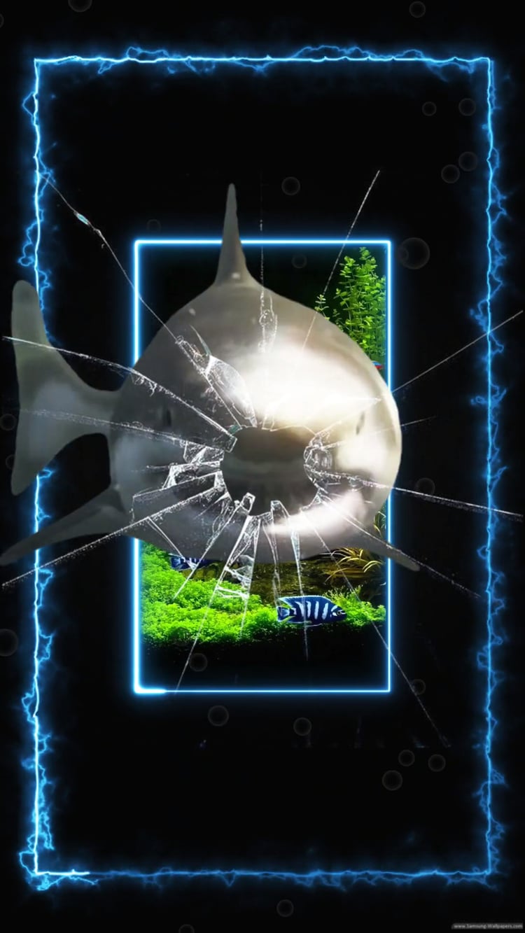shark, wallpaper, animated, tiburón, apple, iphone, cell, screen saver, phone