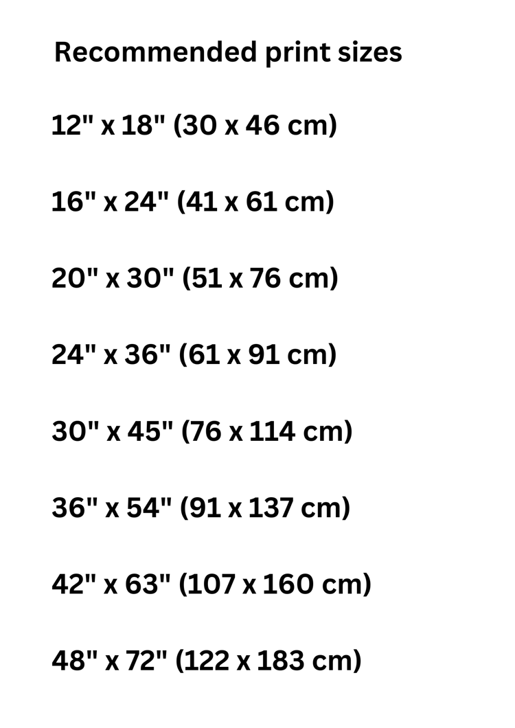 chimpanzee wall art, black and white animal art, digital download wall art, chimpanzee photography, wildlife decor, high-resolution art print, nature-inspired wall art, primate photography, artistic animal decor, chimpanzee digital art