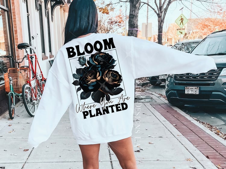 Black Rose Bloom Where You Are Planted Transparent PNG Desig