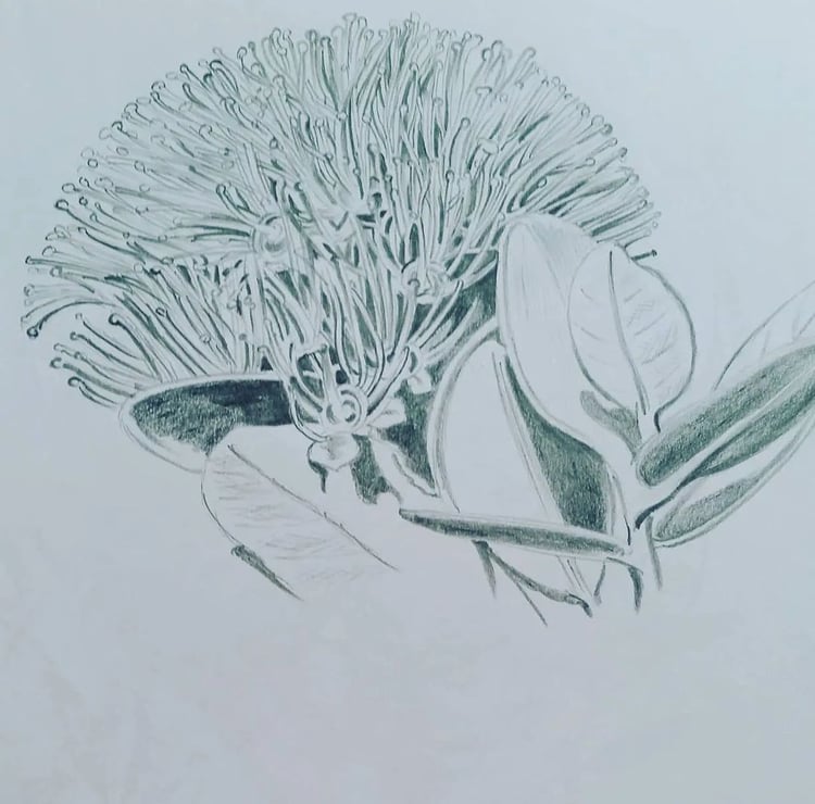 Pohutukawa tree flowers. By artist Darren Burch