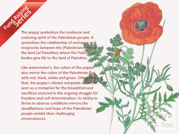 Poppy Palestine