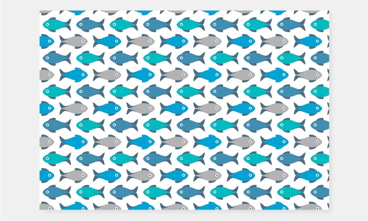 Pattern Colorful Fishes