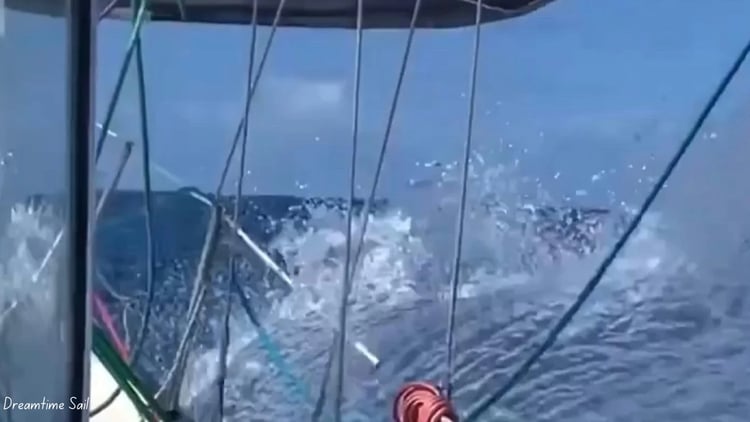 Great sailing action shot of Our Dreamtime pushing through the waves