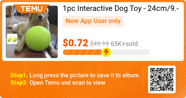 Interactive Dog Toy