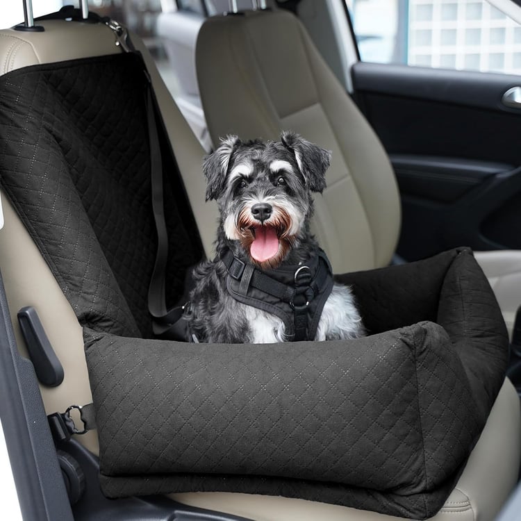 dachshund car seat