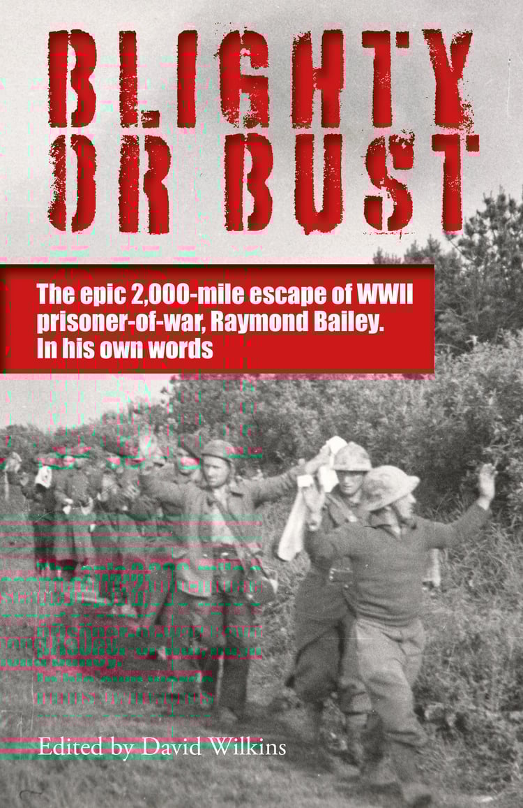 Blighty or Bust book cover