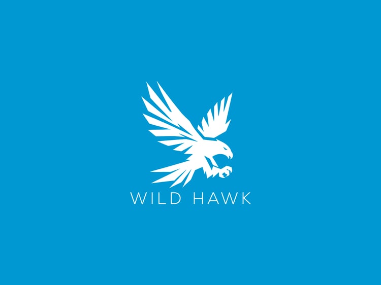 Handcrafted professional Hawk logo design, featuring a powerful hawk illustration symbolizing focus, freedom, and strength, created by expert designers for branding and business use.