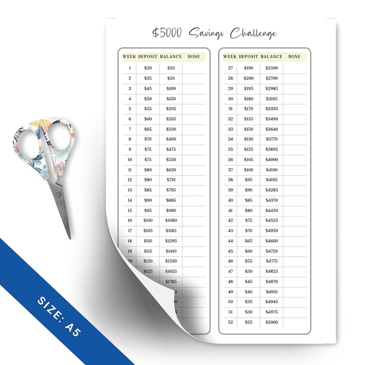 5000 Savings Challenge - A5 Minimalist Planner | Tracia Creative