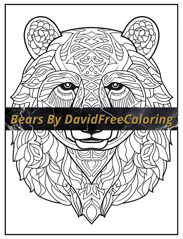 40 Bears Coloring Book Bears Coloring Image for Adult Coloring Pages Bears printable coloring book animals gift for adult PDF Download PNG