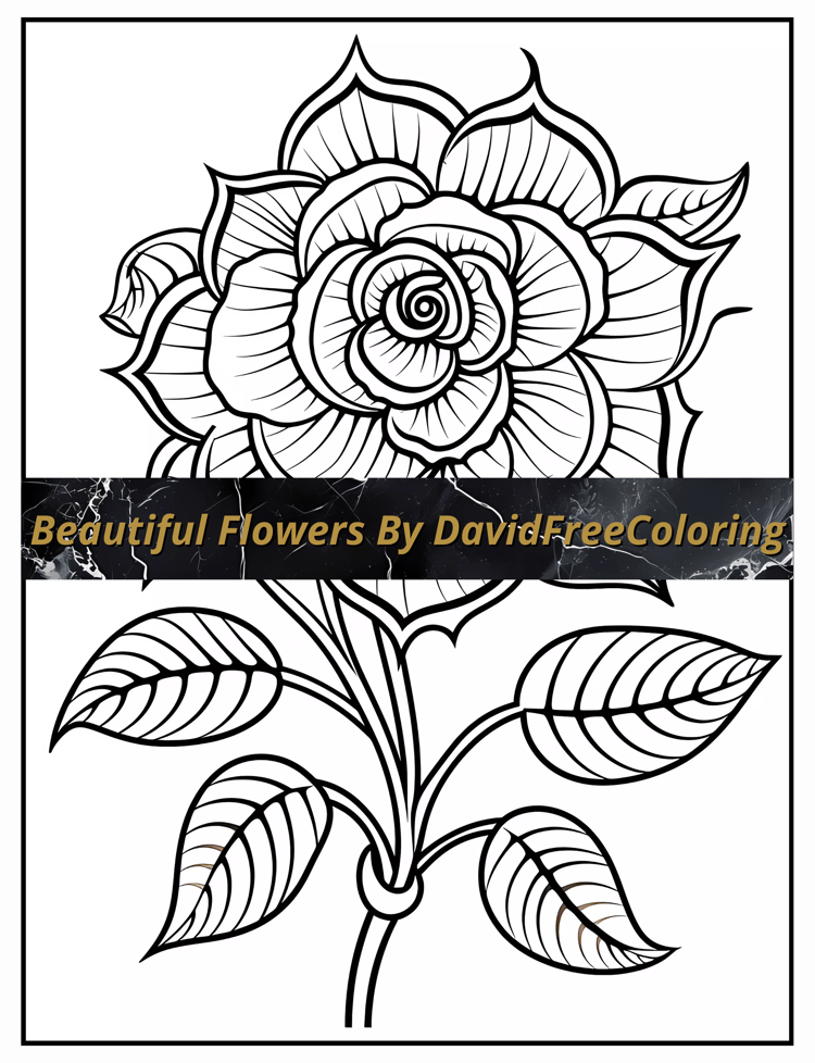 80 Beautiful Flowers Coloring Book Flowers Images for Adult Coloring Pages Flowers printable coloring book gift for adult PDF Download PNG