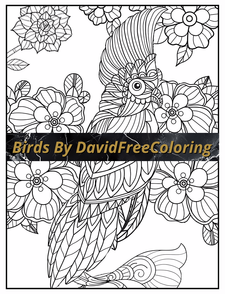40 Birds Coloring Book Birds Coloring Images for Adult Coloring Pages Colorful Birds printable coloring book gift for adult PDF Download PNG