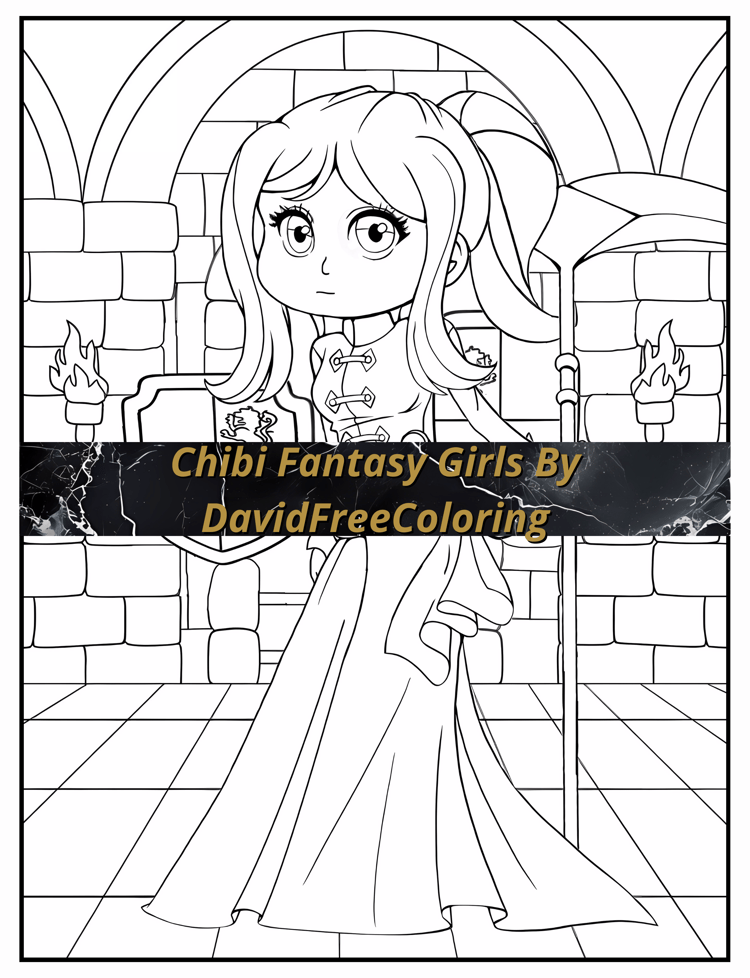 30 Chibi Fantasy Girls Coloring Book Girls Images for Adult Coloring Pages Chibi printable coloring book gift for adult PDF download PNG