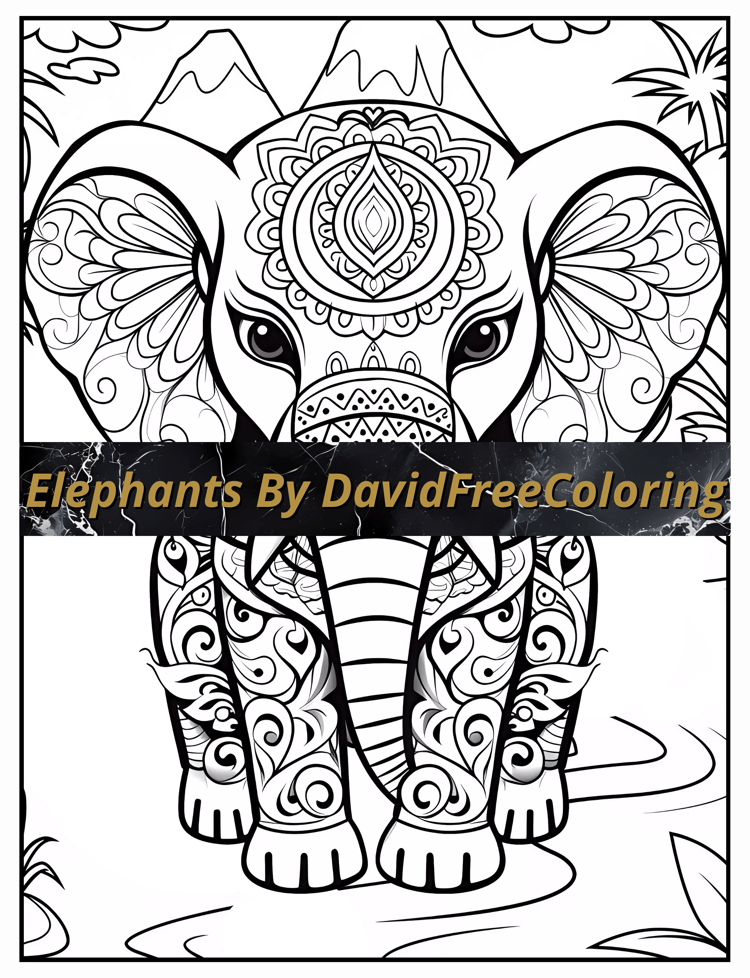 80 Elephant Coloring Book Elephant Image for Adult Coloring Page Beautiful Elephants printable coloring book gift for adult PDF Download PNG