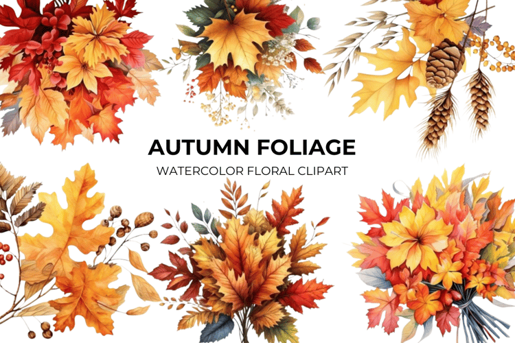 Fall Autumn Foliage Clipart