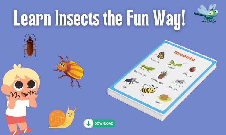 insects,insects for kids,insect,giant insects,insects for children,insect names,learn insects,insect facts,dangerous insects,learn insects names,insect video,most dangerous insects,insects 4k,4k insects,kids insects,cool insects,insects easy,tiny insects,