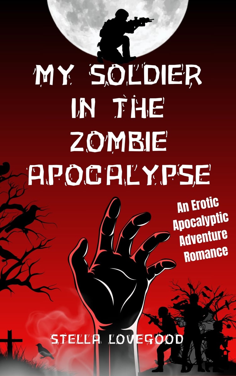 my soldier in the zombie apocalypse book cover