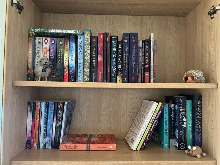 A picture of the two top shelves in a book case.