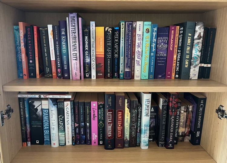 Two shelves in a bookcase filled with books.