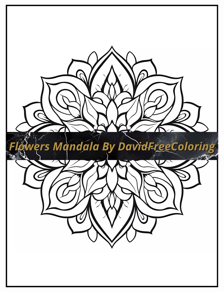 Flowers Mandala Coloring Book Flowers Images for Adult Coloring Pages Mandala printable coloring book gift for adult PDF Download PNG