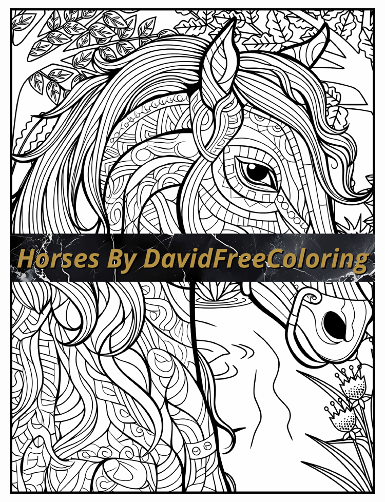 Horses Coloring Book Horses Images for Adult Coloring Pages Beautiful Horses printable coloring book gift for adult PDF download PNG