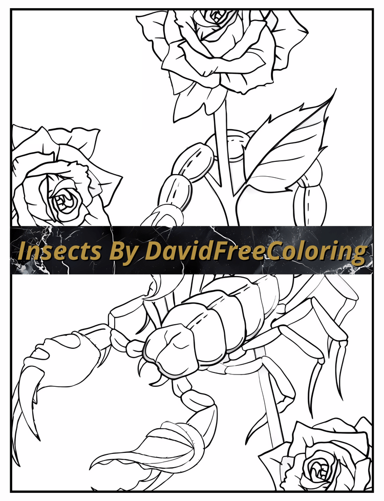 Insects Coloring Book Butterfly Coloring Images for Adult Coloring Pages Spider printable coloring book gift for adult PDF Download PNG