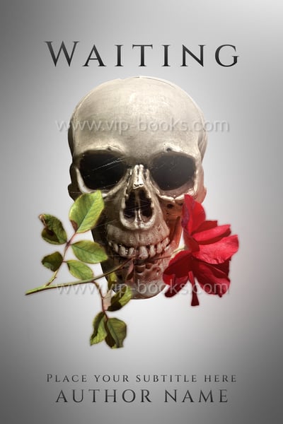 Professional Book Cover Design