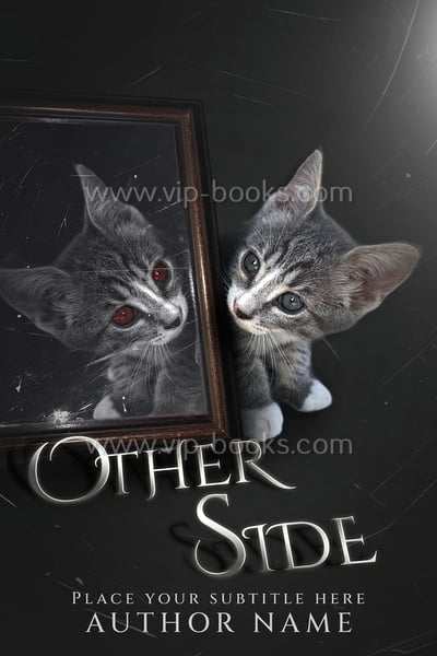 Professional Book Covers - VIP Books