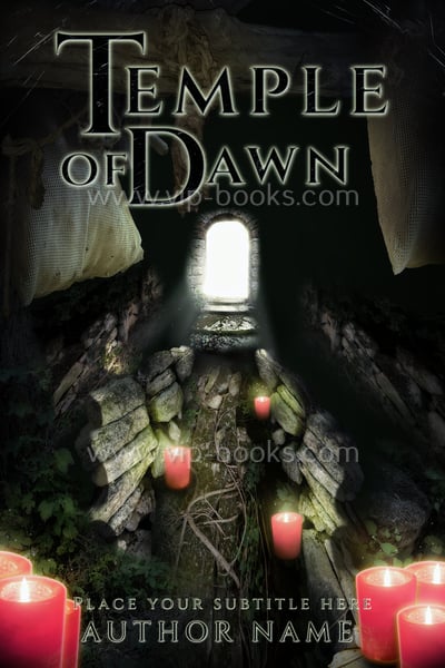 Thriller and Horror Book Cover - Premade Cover Art