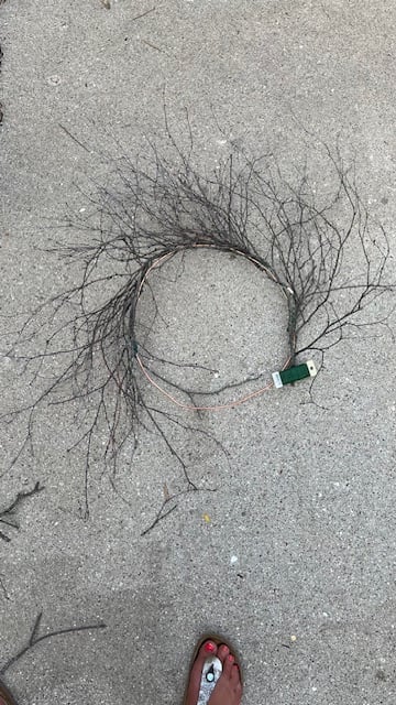 birch branch wreath