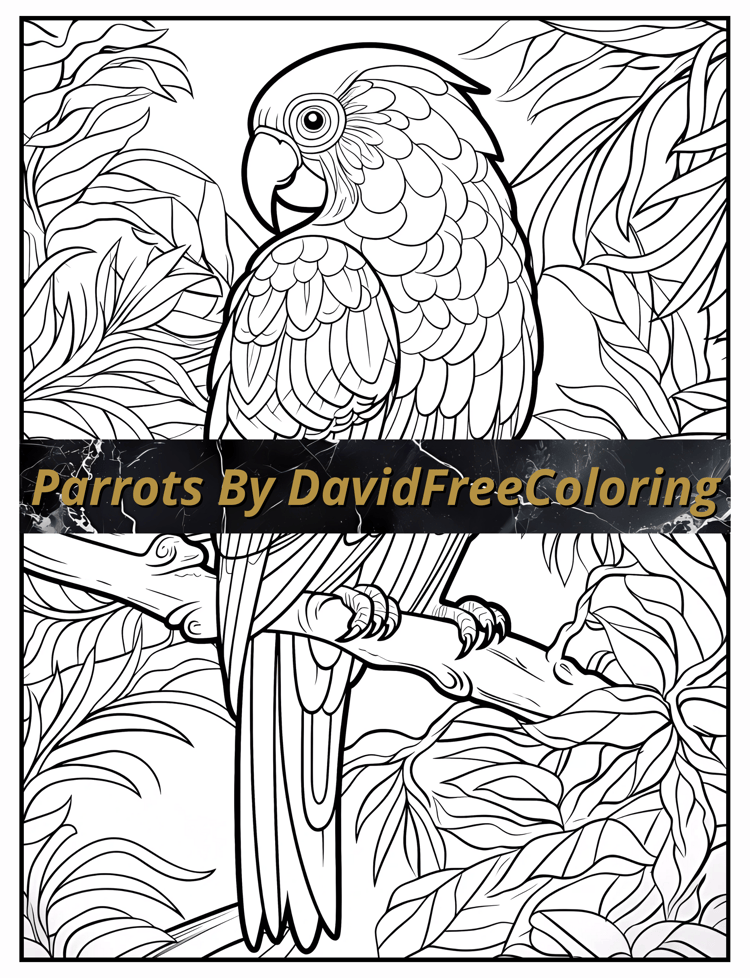 Parrots Coloring Book is a coloring book for adults with 40 Beautiful Parrots images to color creatively, both through the download of PNG and PDF files. Parrots Coloring Book Parrots Coloring Image for Adult Coloring Pages Parrot printable coloring book 