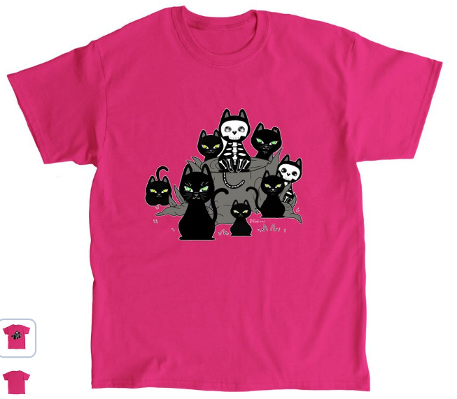 https://www.bonfire.com/spooky-black-cats1
