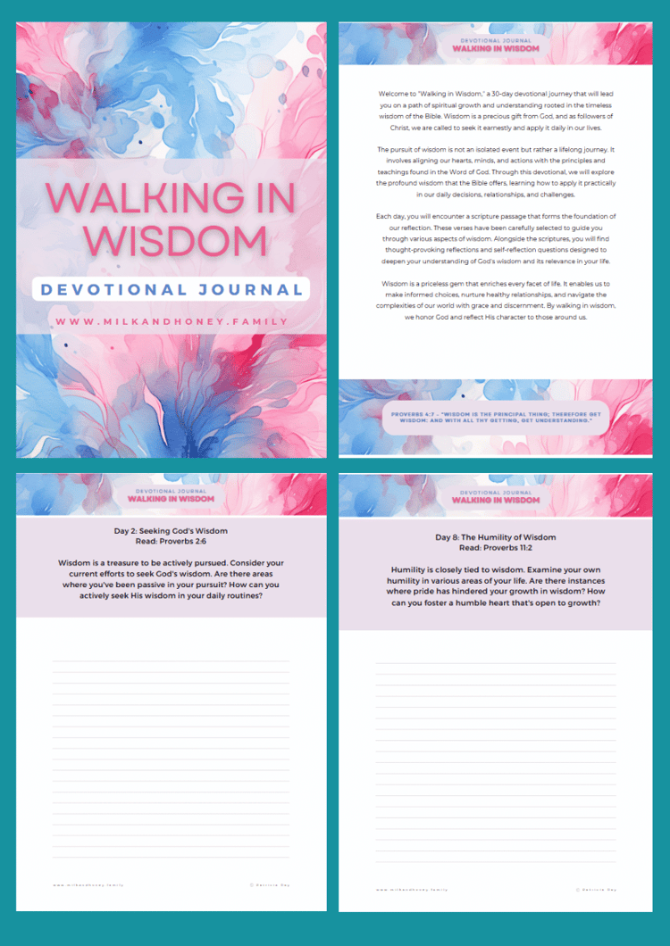 30 Day Wisdom Devotioal Journal