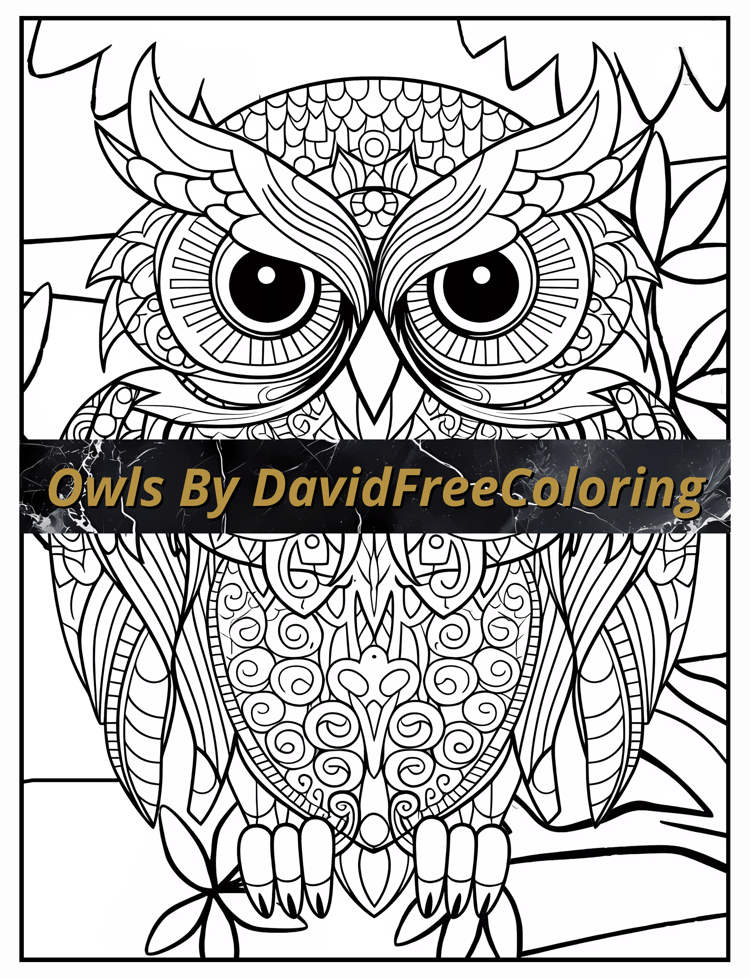 Owls Coloring Book is a coloring book for adults with 80 lovely Owls images to color creatively, both through the download of PNG and PDF files. Owls Coloring Book Cute Owls Images for Adult Coloring Pages Adorable Owls printable coloring book gift for ad