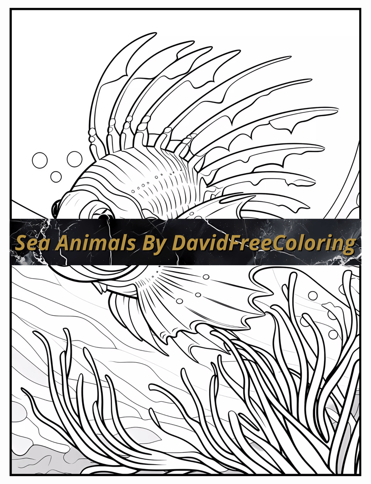 Sea Animals Coloring Book is a coloring book for adults with 80 Beautiful Sea Life images to color creatively, both through the download of PNG and PDF files. Sea Animals Coloring Book Sea Animals Image for Adult Coloring Page Sea Life printable coloring