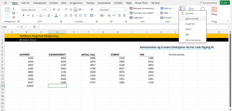 Excel nett kurs nybegynner