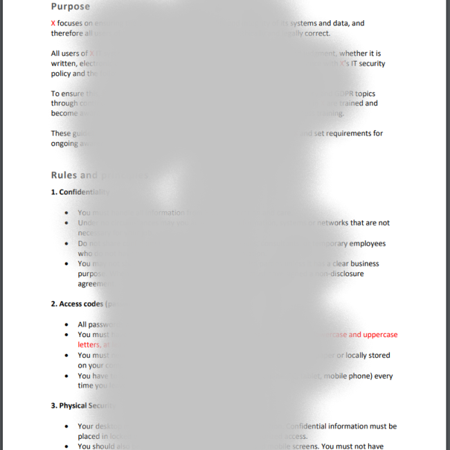 IT Usage Guidelines Preview