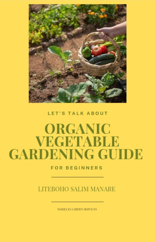 Organic Vegetable Gardening Guide for Beginners
