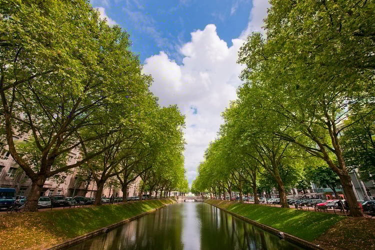 Dusseldorf Konigsallee Audio Guide - Germany