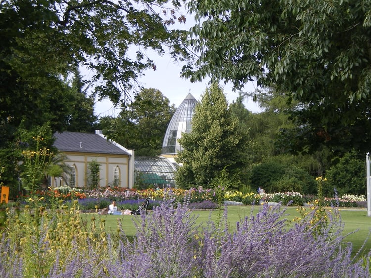 Frankfurt Palmengarten Audio Guide - Germany