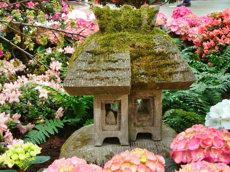 Frankfurt Palmengarten Audio Guide - Germany