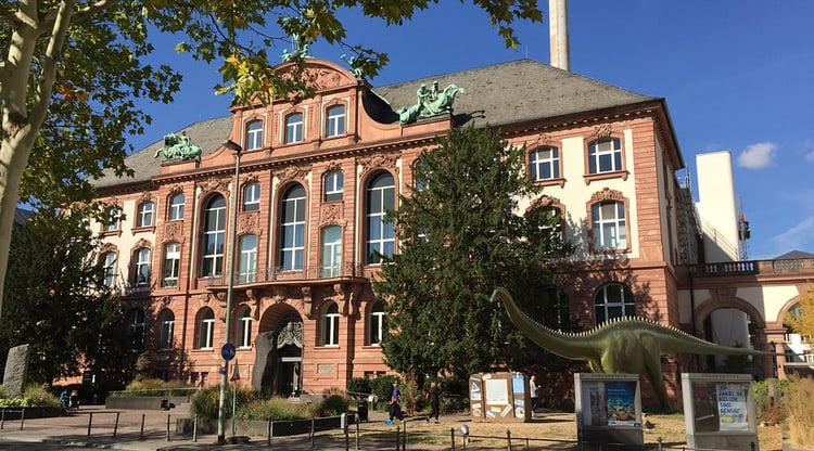 Frankfurt Senckenberg Nature Museum Audio Guide - Germany