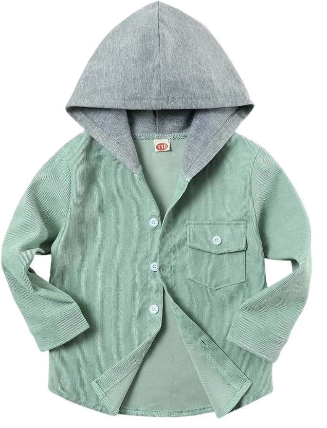 Toddler Boy Clothes Button Down Shirt Long Sleeve Boy Fall Outfits